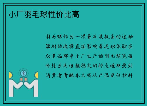 小厂羽毛球性价比高